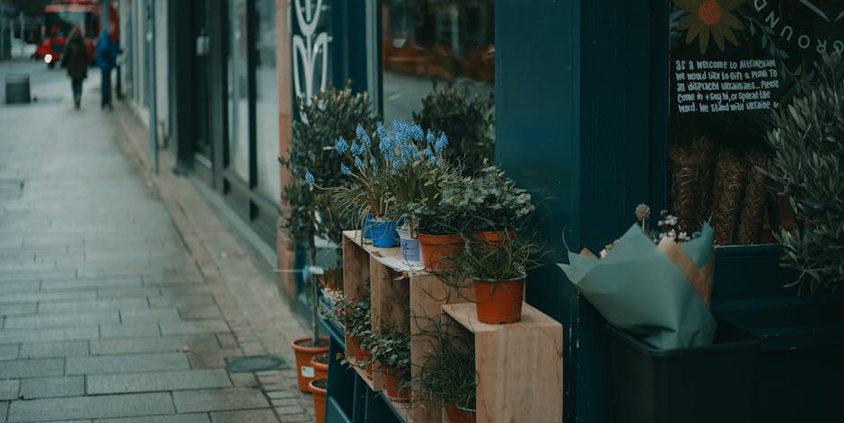 A row of potted flowering plants displayed outside a shop along a sidewalk, featuring flowers in shades of blue, white, and purple, arranged in terracotta, blue, and brown pots. The plants have lush g